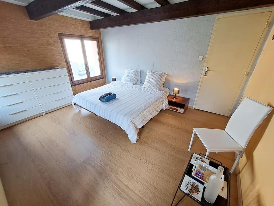 L'echappee Authentique-veranda-climatisee-barbecue Plaisance-du-Touch